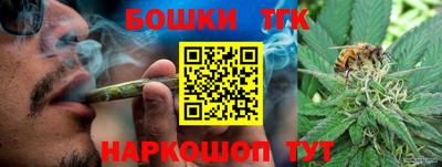 винт Будённовск
